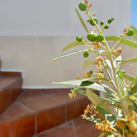 Nyaraló Escape To A Terrace Over Tavira's History