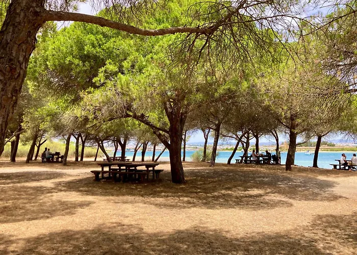 Escape To A Terrace Over Tavira's History 塔维拉