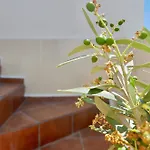 Vakantiehuis Escape To A Terrace Over Tavira's History